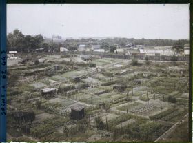 Image représentant Les jardins ouvriers dans les fossés des anciennes fortifications, porte de Clichy