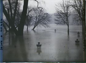 Image représentant La crue de la Seine à la pointe de l'île de la Cité, square du Vert-Galant