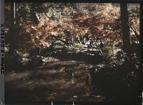 Image représentant Temple Eikan-dô Zenrin-ji