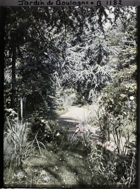 Image représentant La forêt bleue à proximité du laboratoire