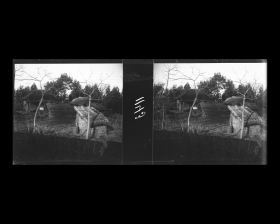 Image représentant Paysage rural vu du train