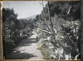 Image représentant Le jardin vue vers Monaco