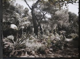 Image représentant Une allée du jardin