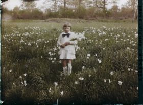 Image représentant Enfant avec un bouquet de narcisses