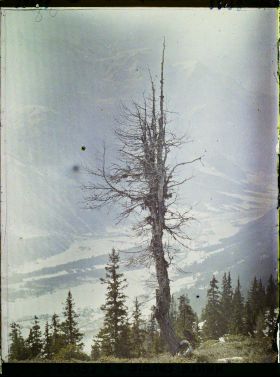 Image représentant France Les Alpes, Vue prise de la Flégère. Effet de brume s/laVallée de Chamonix et le Mont-Blanc