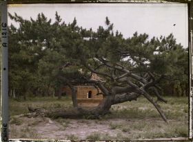 Image représentant Ming Shisanling (" Treize Tombeaux des Ming ")