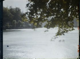 Image représentant Les rapides du Rhin en aval de Schaffhouse