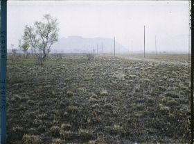 Image représentant La route de l'île Saint-Pierre, à 15 minutes de Cerlier