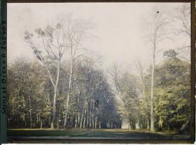 Image représentant Allée dans le parc