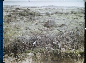 Image représentant France, Loivre, Réseaux de barbelés enlevés du Canal