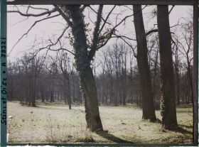 Image représentant Le parc