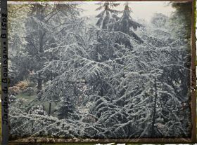 Image représentant Forêt bleue vue de l'atelier photo