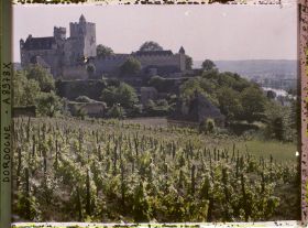 Image représentant France, Beynac, Le chateau et la Dordogne dans le fond à droite vignes au 1er plan