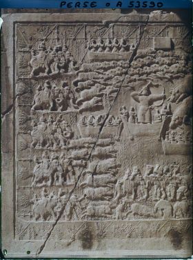 Image représentant Paroi latérale gauche de la grande grotte : scène de chasse royale au sanglier