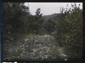 Image représentant France, Vienne le Château, Ancienne route au Bois des Autry