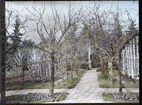 Image représentant Allée du verger-roseraie menant à la forêt bleue, depuis le rond-point proche du jardin français