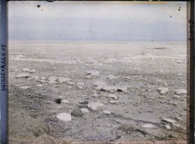 Image représentant Site palafittique préhistorique des Alpes, pieux en bois visibles lors de la baisse des eaux après la grande sécheresse de 1921 sur le lac de Neuchâtel