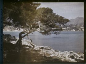 Image représentant Vue sur Menton, depuis le Cap Martin