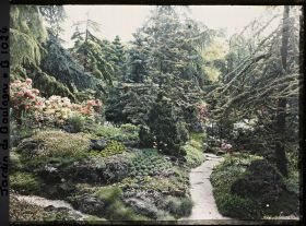 Image représentant Butte fleurie du " sanctuaire japonais " située entre le sorinto et le " village japonais "