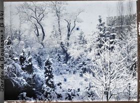 Image représentant Rocaille et bas de vallon du " jardin chinois " sous la neige, proches du " sanctuaire japonais "