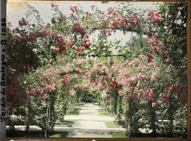 Image représentant Axe central du verger-roseraie vu à mi-parcours, en direction de la dépendance