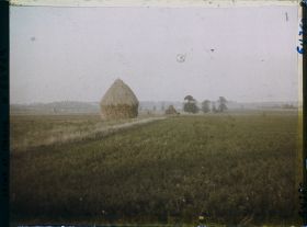 Image représentant Seine et Marne, Le Pin, La plaine au soleil couchant