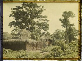 Image représentant Le village indigène