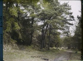Image représentant L'île des lapins, voisine de l'île Saint-Pierre
