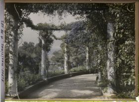 Image représentant Pergola du jardin de la villa Cypris