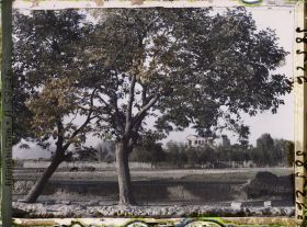 Image représentant Vers le Palais royal de Chehel Sotun (les quarante colonnes)