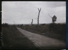 Image représentant France, Nauroy, La route venant de Moronvilliers