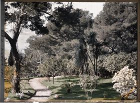 Image représentant Cap-Martin - Vue prise du Jardin de Dunure