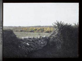 Image représentant Clôture en pierres entre deux talus et ajoncs fleuris à l'arrière-plan
