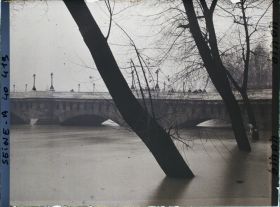 Image représentant La crue de la Seine au Pont-Neuf