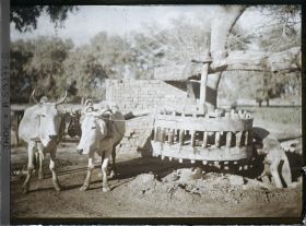 Image représentant Un manège élévatoire d'eau, actionné par une paire de boeufs