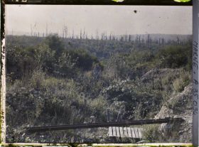 Image représentant France, La Harazée, Début du Secteur Marie-Thérèse, Bois de la Gruerie