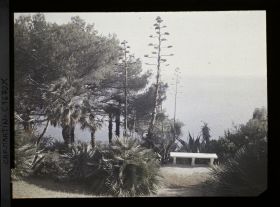 Image représentant Banc en partie basse du jardin de la villa Miramar qui domine la mer