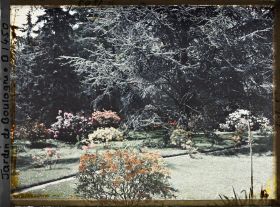Image représentant Rhododendrons et azalées en fleurs au bord d'un chemin qui longe le marais en direction de l'ouest