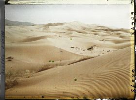 Image représentant La grande dune le soir avec au fond, le Djebel Mekter