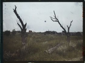 Image représentant France, Génermont, Les restes du hameau de Génermont
