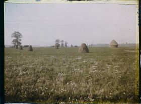 Image représentant Seine et Marne, Le Pin, Meules de Blé et fourrages