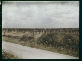 Image représentant France, Cimetière Allemand