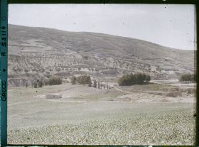 Image représentant Panorama vers l'ensemble des ruines de palais (derrière, le premier bouquet d'arbres, le théâtre), (direction sud-est)
