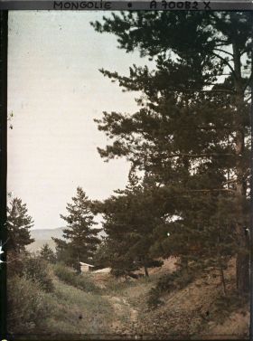 Image représentant Une clairière dans la taïga