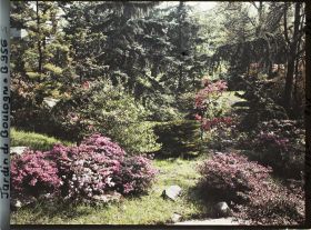 Image représentant Pierres, azalées et érables rougeoyants, situés à l'entrée du " sanctuaire japonais "