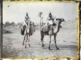 Image représentant Méharistes sahariens