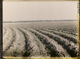 Image représentant Seine et Marne, Guermantes, Labours pour évacuation d'eau