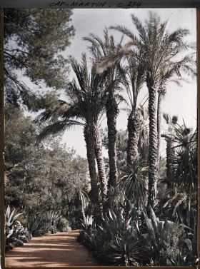 Image représentant Cap-Martin - Le Jardin