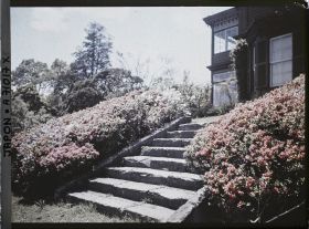 Image représentant Jardin d'une résidence ?