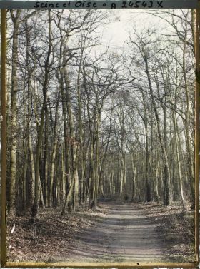 Image représentant Une allée du parc